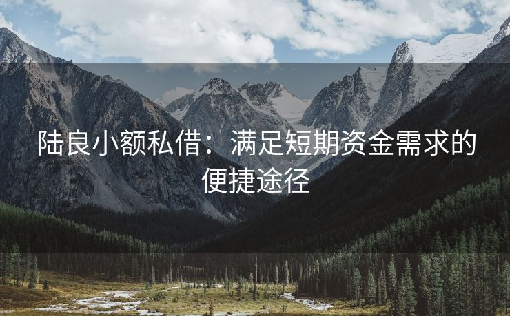 陆良小额私借：满足短期资金需求的便捷途径