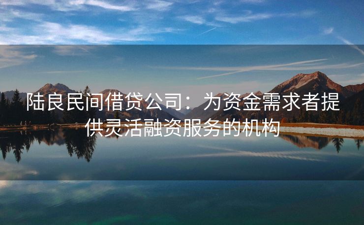 陆良民间借贷公司：为资金需求者提供灵活融资服务的机构