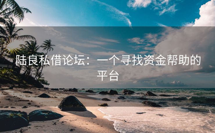陆良私借论坛：一个寻找资金帮助的平台