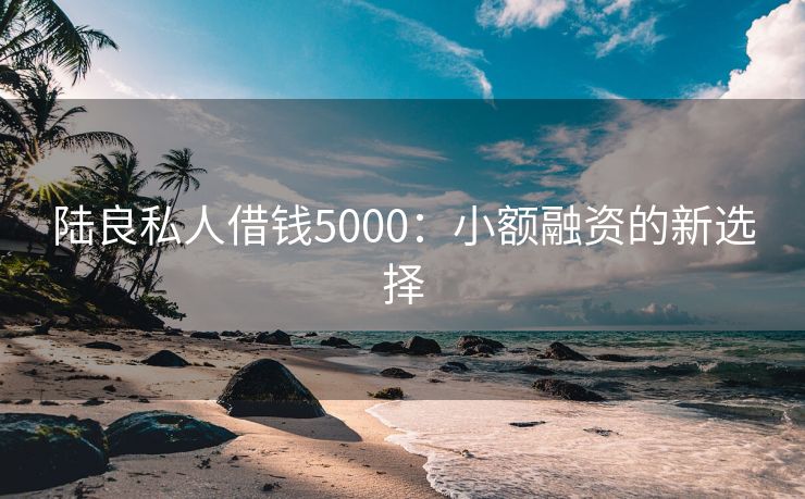 陆良私人借钱5000：小额融资的新选择