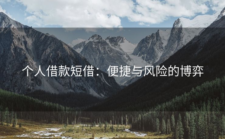 个人借款短借：便捷与风险的博弈