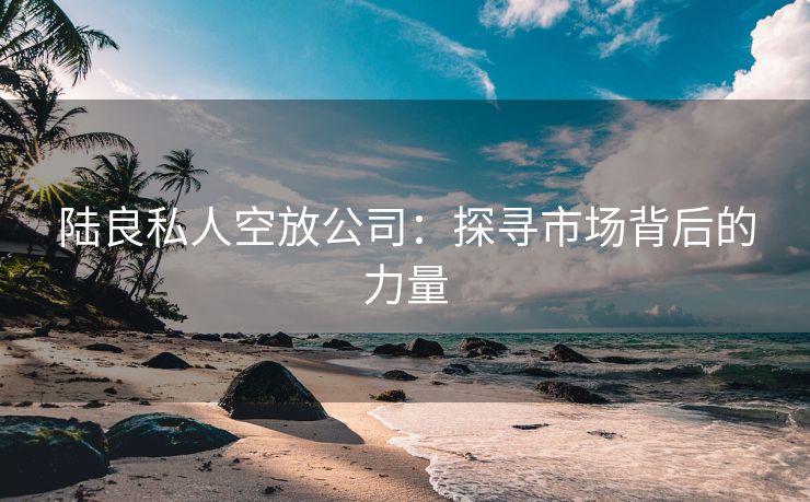 陆良私人空放公司：探寻市场背后的力量