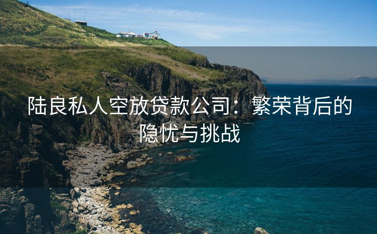 陆良私人空放贷款公司：繁荣背后的隐忧与挑战