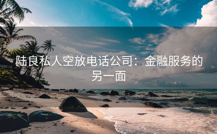 陆良私人空放电话公司：金融服务的另一面