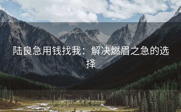 陆良急用钱找我：解决燃眉之急的选择 陆良急用钱找我 陆良私人借钱  第2张