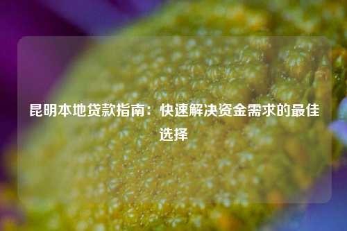 陆良本地贷款指南：快速解决资金需求的最佳选择