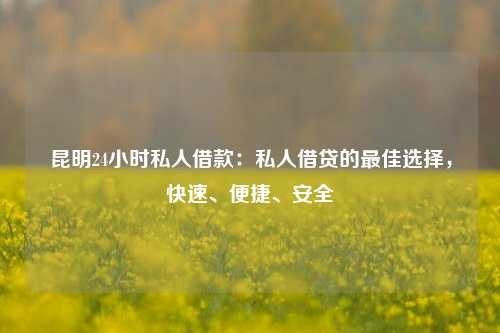 陆良24小时私人借款：私人借贷的最佳选择，快速、便捷、安全