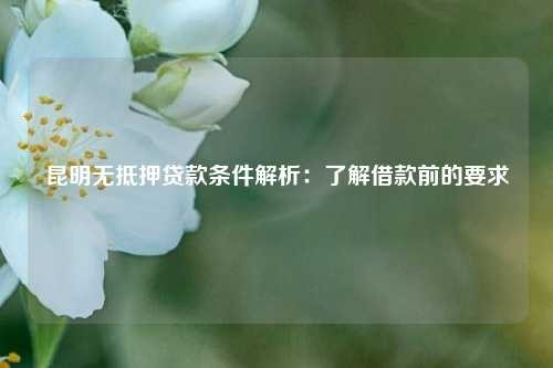 陆良无抵押贷款条件解析：了解借款前的要求