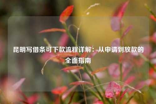 陆良写借条可下款流程详解：从申请到放款的全面指南