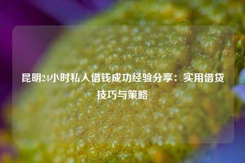 陆良24小时私人借钱成功经验分享：实用借贷技巧与策略