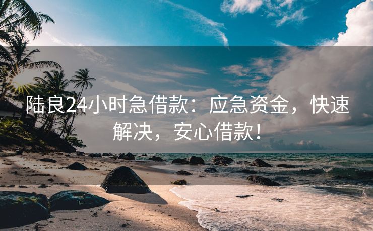 陆良24小时急借款：应急资金，快速解决，安心借款！ 陆良24小时急借款 陆良私人借款  第2张
