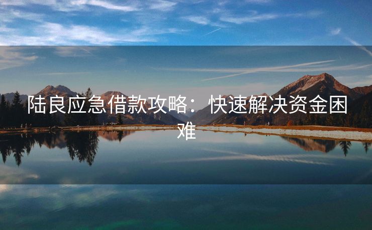 陆良应急借款攻略：快速解决资金困难 陆良应急借款攻略 陆良私人借款  第3张