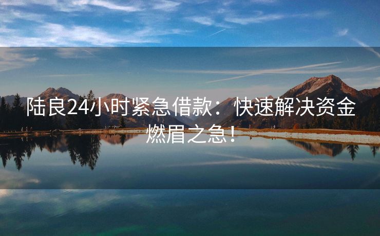 陆良24小时紧急借款：快速解决资金燃眉之急！ 陆良24小时紧急借款 陆良私人借款  第3张