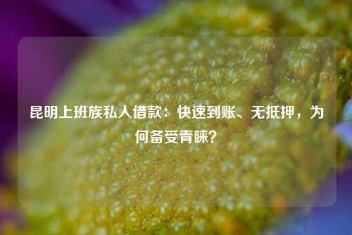陆良上班族私人借款：快速到账、无抵押，为何备受青睐？