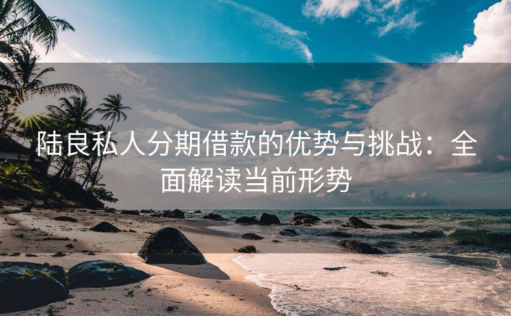 陆良私人分期借款的优势与挑战：全面解读当前形势  陆良私人借钱  第2张