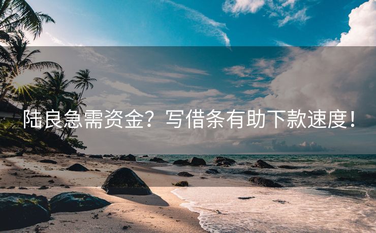 陆良急需资金？写借条有助下款速度！ 写借条有助下款速度！ 陆良私人借款  第2张