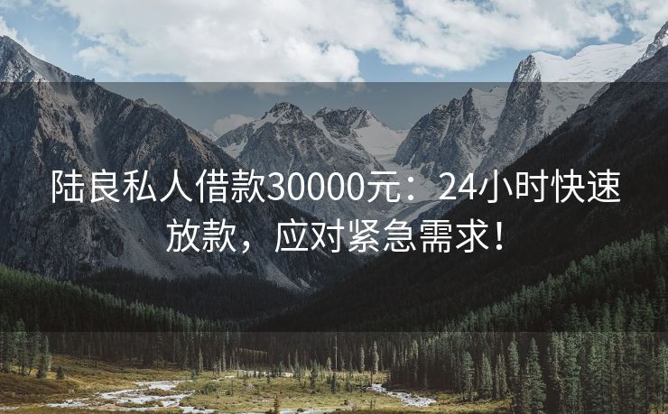 陆良私人借款30000元：24小时快速放款，应对紧急需求！ 陆良私人借款30000元 陆良私人借钱  第2张