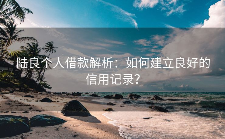 陆良个人借款解析：如何建立良好的信用记录？ 陆良个人借款解析 陆良个人借钱  第3张
