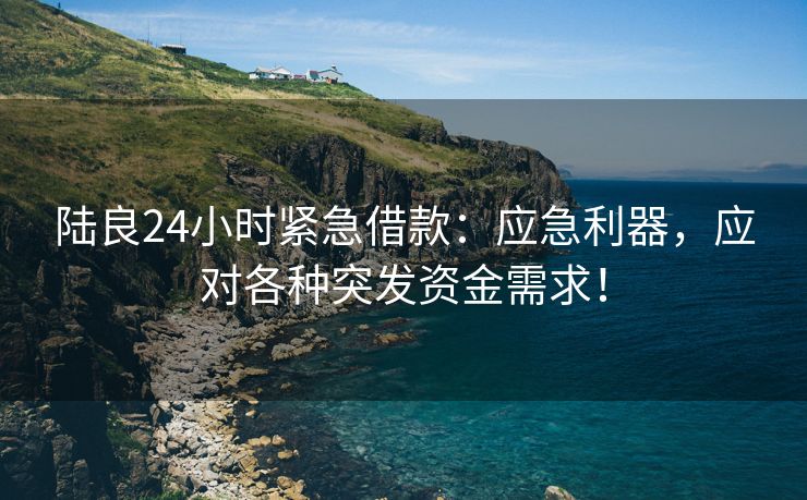 陆良24小时紧急借款：应急利器，应对各种突发资金需求！ 陆良24小时紧急借款 陆良私人借款  第2张