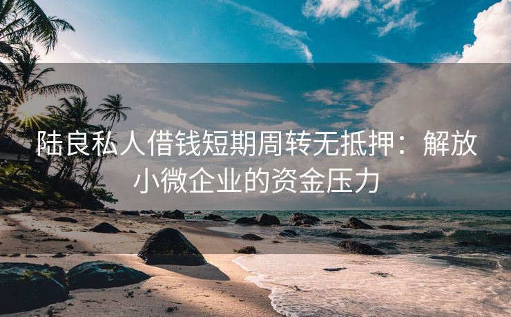 陆良私人借钱短期周转无抵押：解放小微企业的资金压力 陆良私人借钱短期周转无抵押 陆良无抵押贷款  第2张