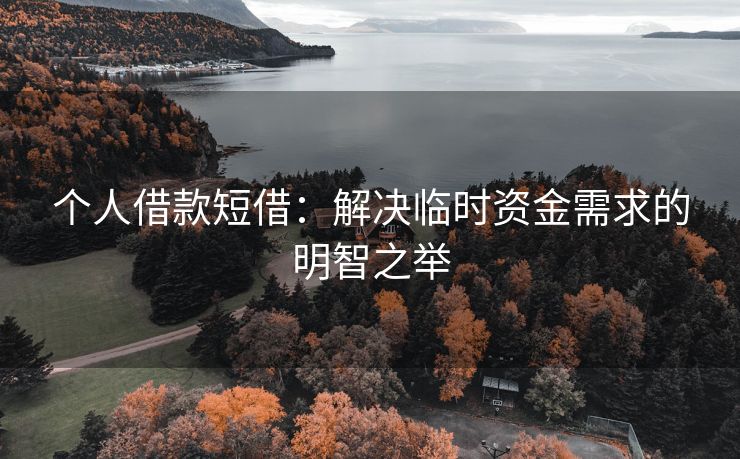 个人借款短借：解决临时资金需求的明智之举 个人借款短借 陆良个人借钱  第2张