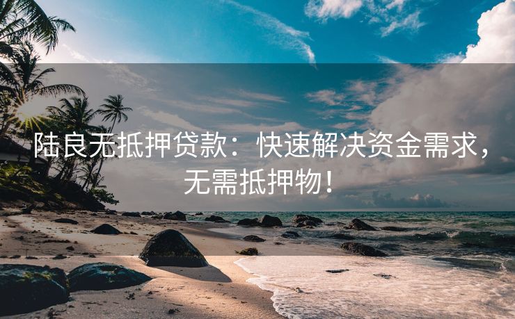  陆良无抵押贷款：快速解决资金需求，无需抵押物！ 陆良无抵押贷款 陆良无抵押贷款  第3张