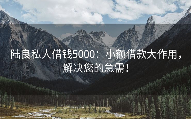 陆良私人借钱5000：小额借款大作用，解决您的急需！ 陆良私人借钱5000 陆良私人借款  第3张