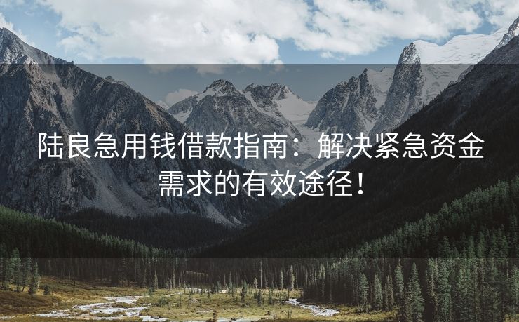 陆良急用钱借款指南：解决紧急资金需求的有效途径！ 陆良急用钱借款指南 陆良私人借款  第2张