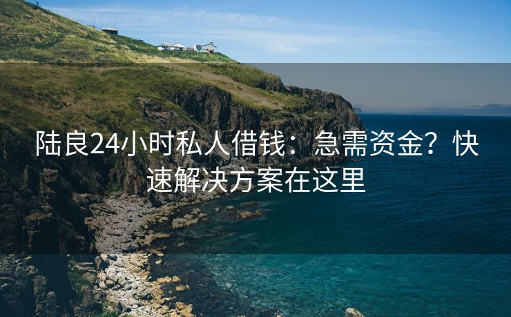 陆良24小时私人借钱：急需资金？快速解决方案在这里 陆良24小时私人借钱 陆良私人借钱  第3张