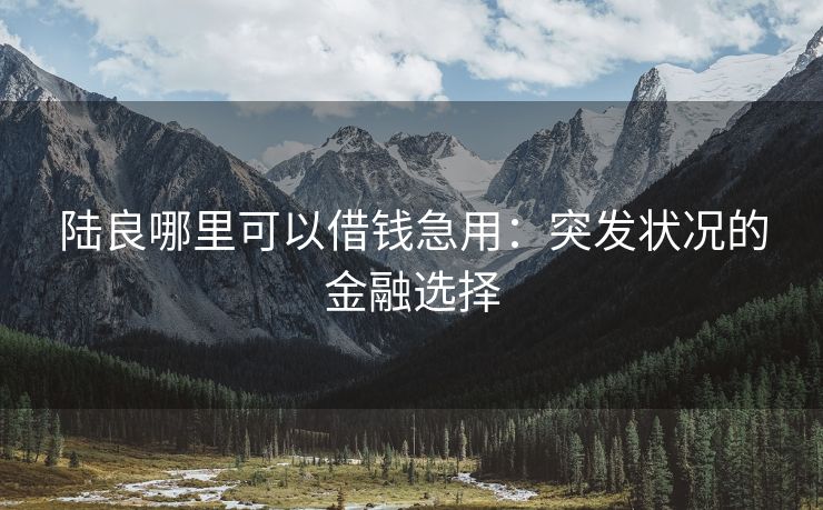 陆良哪里可以借钱急用：突发状况的金融选择 陆良哪里可以借钱急用 陆良私人借款  第2张