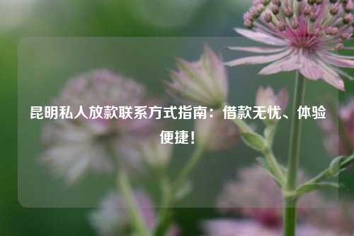 陆良私人放款联系方式指南：借款无忧、体验便捷！