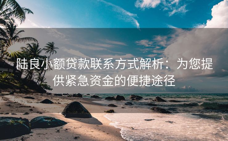陆良小额贷款联系方式解析：为您提供紧急资金的便捷途径 陆良小额贷款联系方式解析 陆良私人借钱  第3张