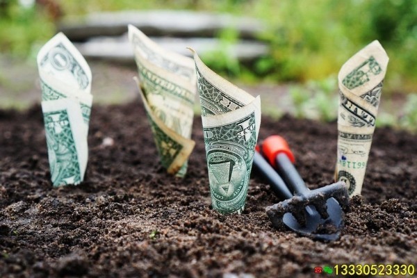 陆良上门私人借钱的利率与费用分析：如何确保公平合理的借款条件