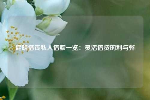 陆良借钱私人借款一览：灵活借贷的利与弊