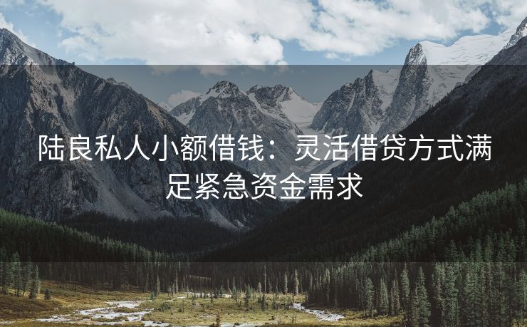 陆良私人小额借钱：灵活借贷方式满足紧急资金需求