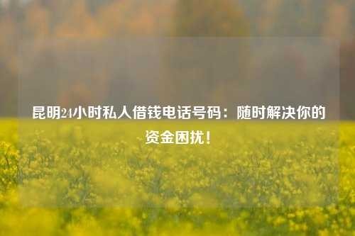 陆良24小时私人借钱电话号码：随时解决你的资金困扰！