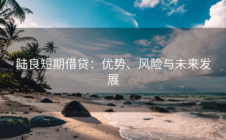 陆良短期借贷：优势、风险与未来发展 陆良短期借贷 陆良私人借钱  第3张