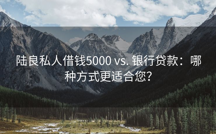 陆良私人借钱5000 vs. 银行贷款：哪种方式更适合您？ 陆良私人借钱5000 vs. 银行贷款 陆良私人借款  第3张