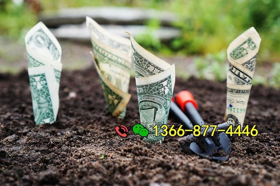 陆良私人借钱5000：根据您的需求定制贷款方案，满足个人资金需求