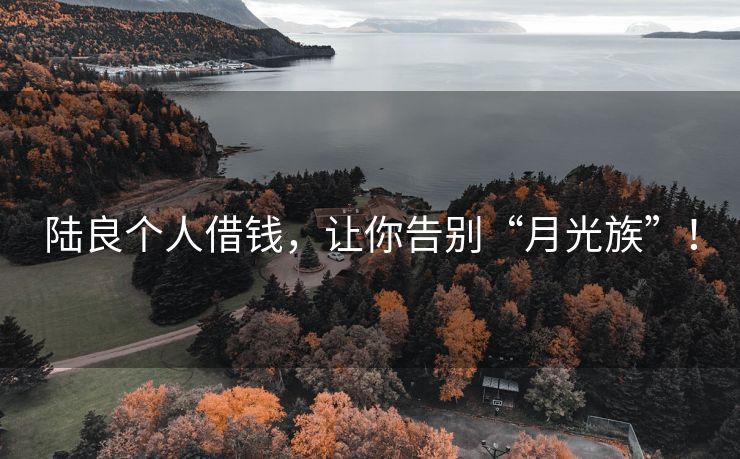陆良个人借钱，让你告别“月光族”！