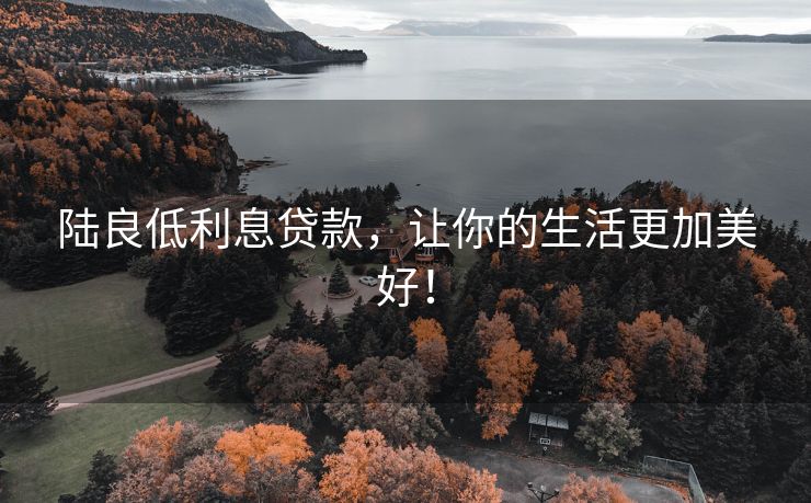 陆良低利息贷款，让你的生活更加美好！ 陆良低利息贷款 陆良私人借款  第2张
