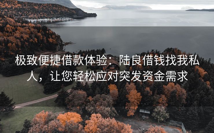 极致便捷借款体验：陆良借钱找我私人，让您轻松应对突发资金需求 陆良借钱找我私人 陆良私人借款  第3张