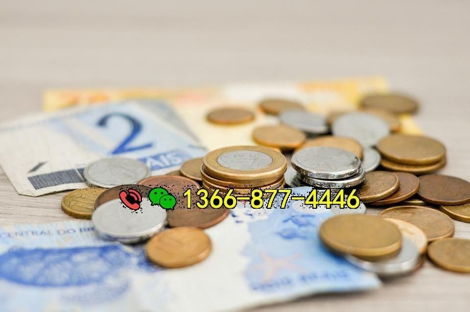 陆良借贷指南：探索借款选择，应对紧急资金缺口