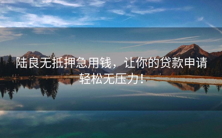 陆良无抵押急用钱，让你的贷款申请轻松无压力！