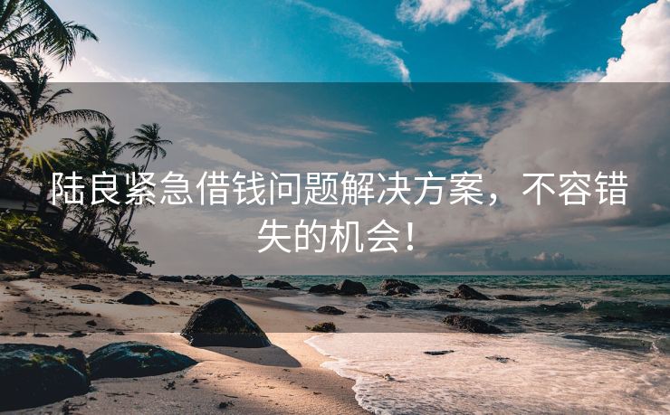  陆良紧急借钱问题解决方案，不容错失的机会！ 陆良紧急借钱问题解决方案 陆良私人借款  第3张