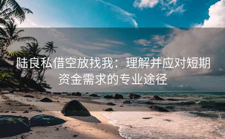 陆良私借空放找我：理解并应对短期资金需求的专业途径 陆良私借空放找我 陆良空放  第2张