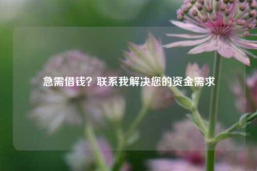 急需借钱？联系我解决您的资金需求 急需借钱 陆良无抵押贷款  第3张