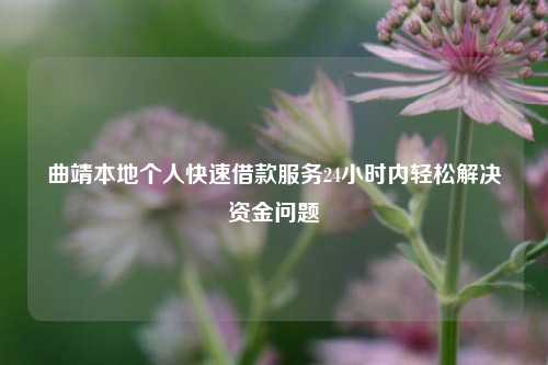 陆良本地个人快速借款服务24小时内轻松解决资金问题 陆良本地个人快速借款 陆良个人借钱  第3张